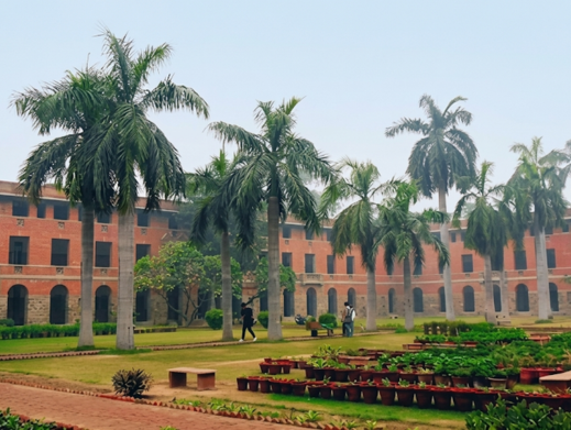 Expanding Global Horizons: Miranda House Session on Leveraging Careers through Study Abroad